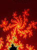 CFrak01-01-thmb-Feuerbaum.gif (5321 Byte)